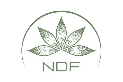 Nenufar Da Fonte